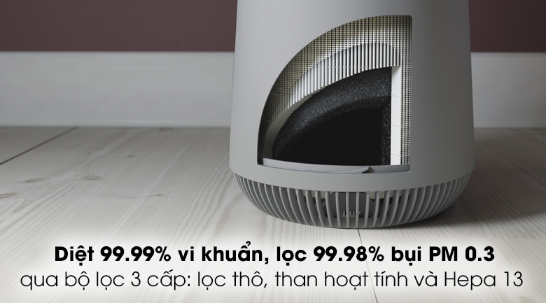 Máy lọc không khí Electrolux FA31-202GY 20W