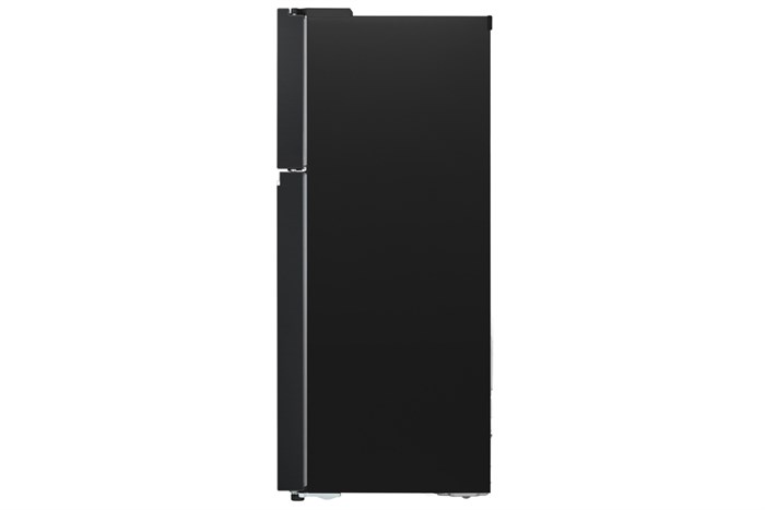 Tủ lạnh LG Inverter 315 lít LTB31BLM model 2024