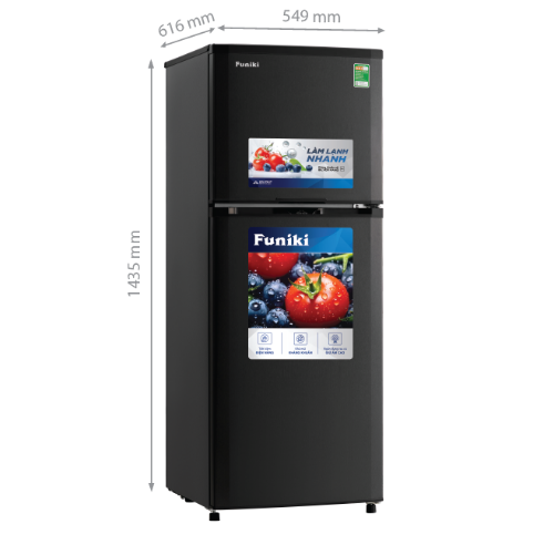 Tủ lạnh Inverter 209L Funiki HR-T8209TDG