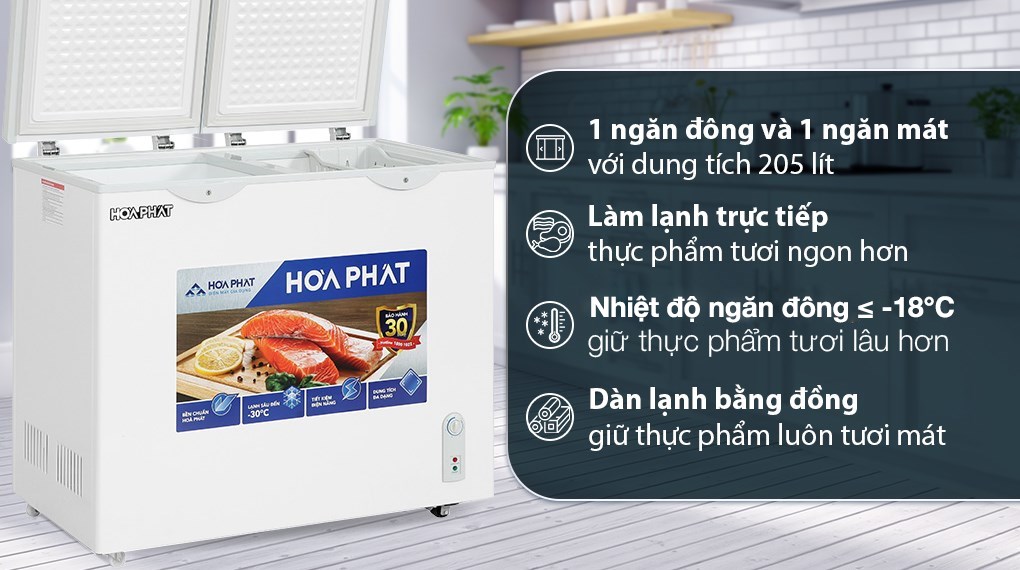 Tủ đông Hòa Phát 205 Lít HPF BD6205
