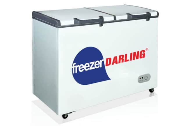 Tủ đông Darling DMF-2999W2 230 lít 2 ngăn