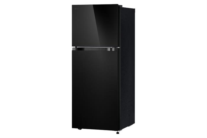Tủ lạnh LG Inverter 217 lít T21BG