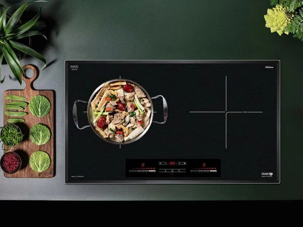 Bếp từ Fandi FD-829IB