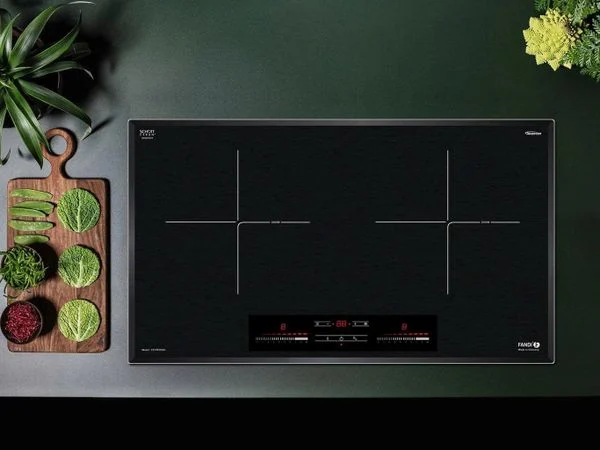 Bếp từ Fandi FD-829IB
