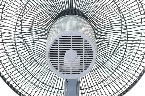 Quạt đứng Sharp PJ-L40RV-LG