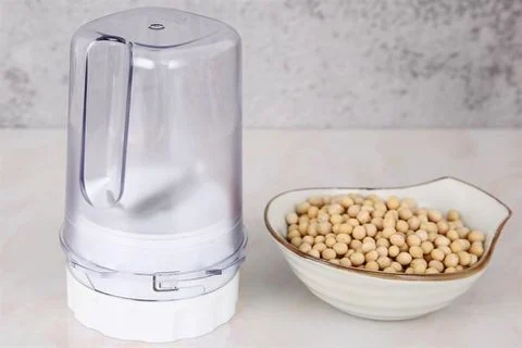Máy xay sinh tố đa năng Philips HR2223/00