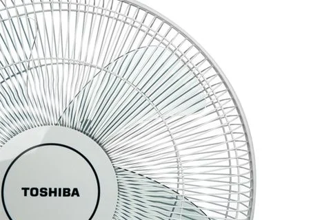 Quạt đứng Toshiba 5 cánh F-LSA10(H)VN 50W